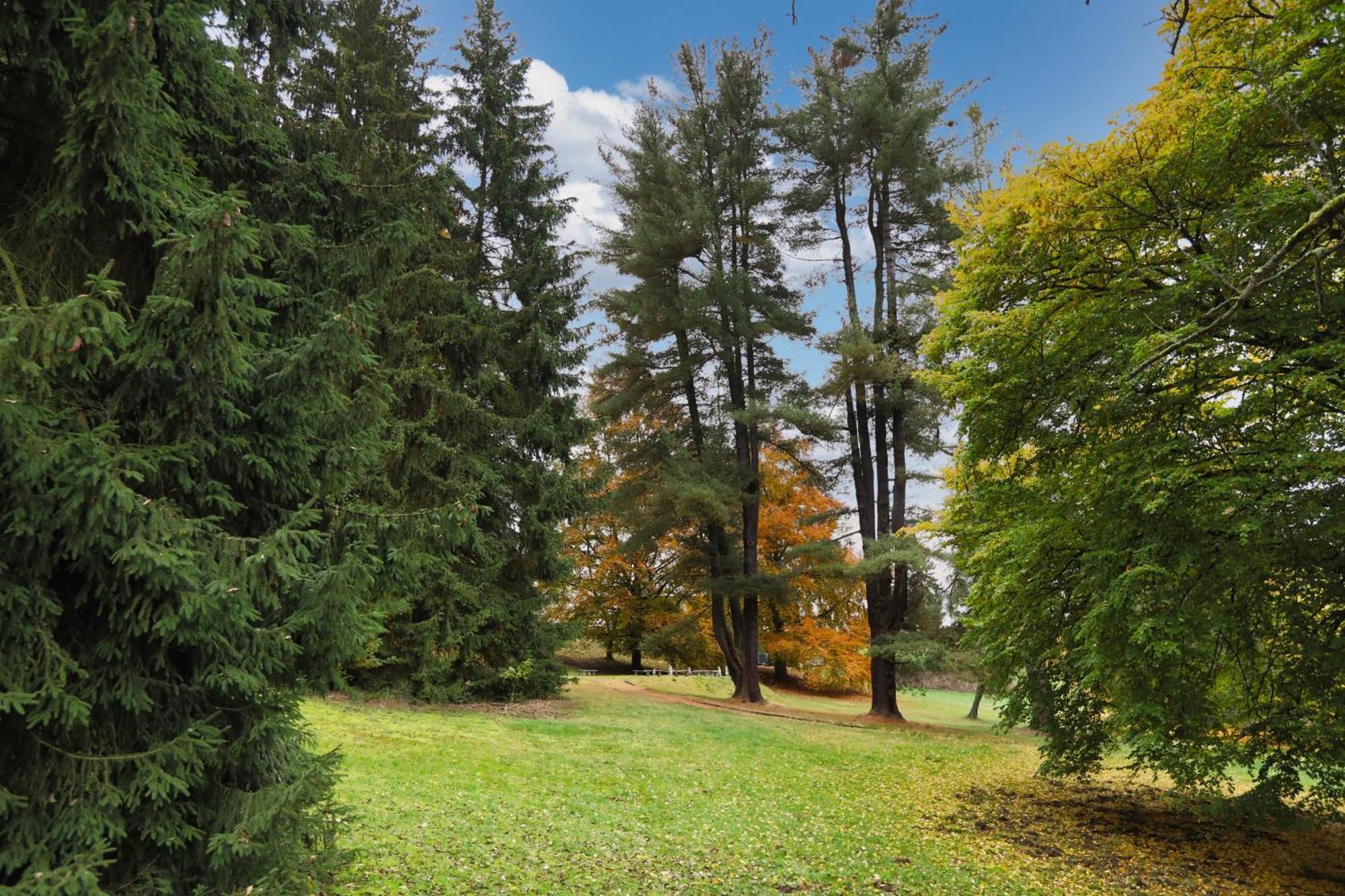 Pension U Golfu Cihelny Karlovy Vary Kültér fotó