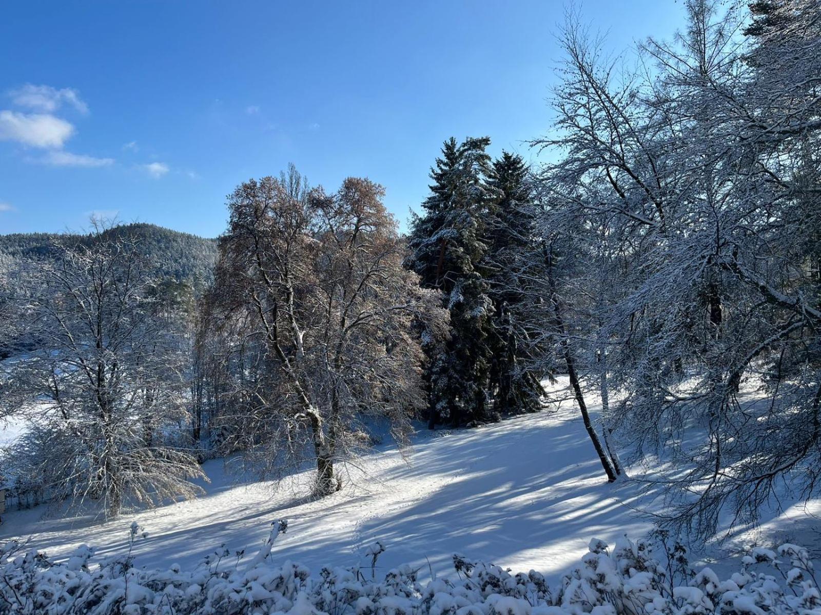 Pension U Golfu Cihelny Karlovy Vary Kültér fotó