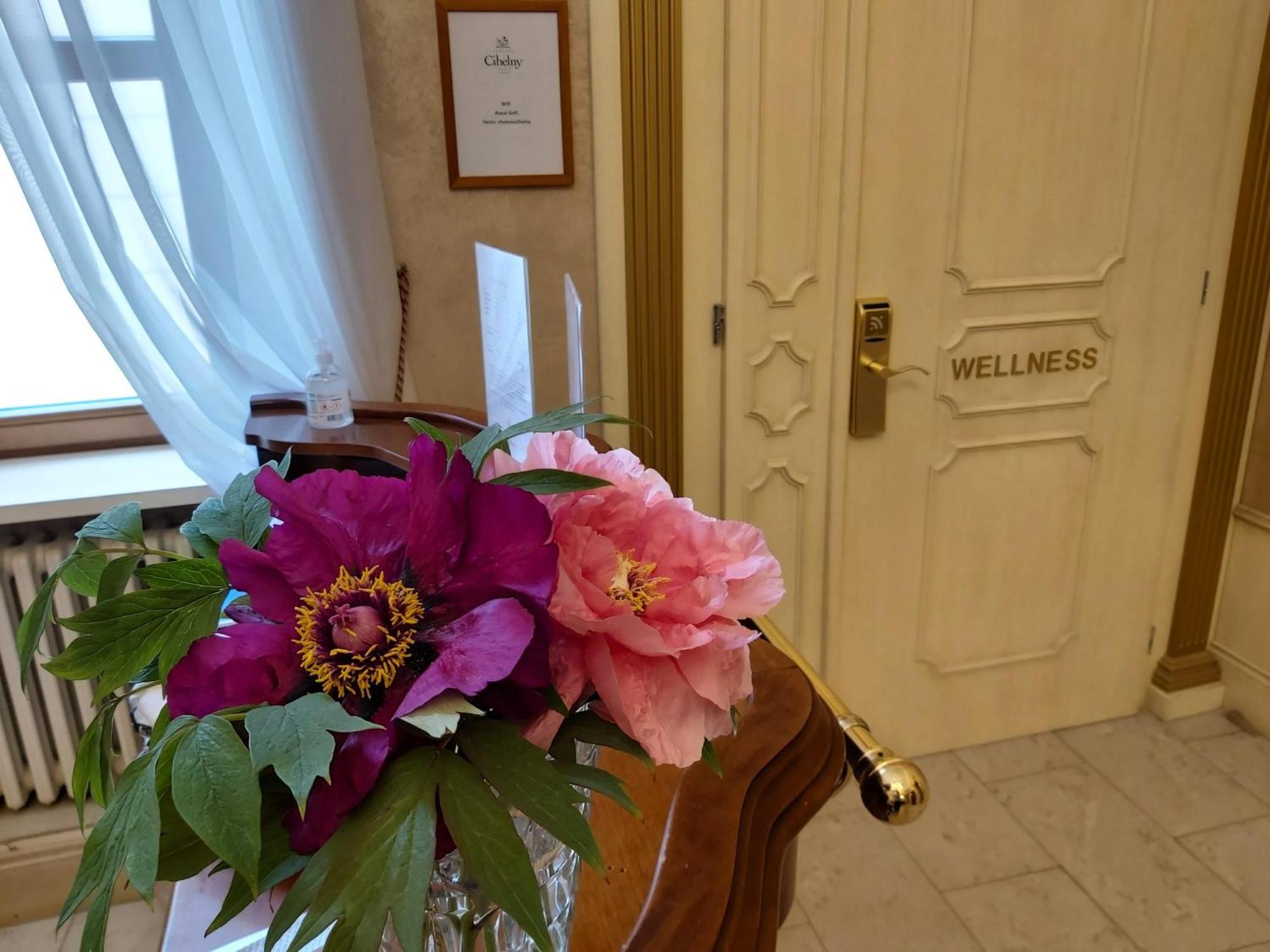 Pension U Golfu Cihelny Karlovy Vary Kültér fotó